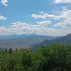 thoughtless pleasure