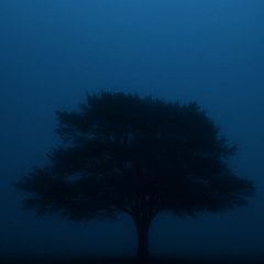 atmospheric world