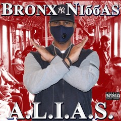 Bronx Niggas