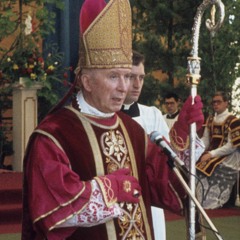 Homélie à Écône, 29 juin 82, Ordinations sacerdotales