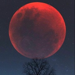 Bloodmoon