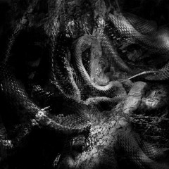 Pistas similares: Unhealed - Sinners And Lovers [SHI001 | Premiere]