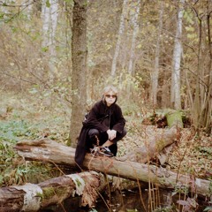 нюйва (nika boginya) - каштановая песенка