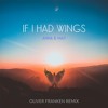 Скачать видео: Anna B May - If I Had Wings (Oliver Franken Remix)