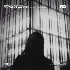 Why Don't You Stay (Melodic Techno Remix)