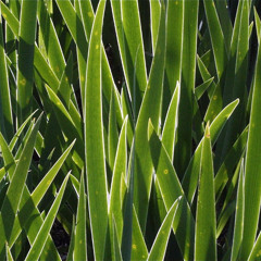 strolling through taut & relaxed?