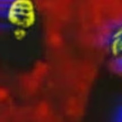 transparent frequencies