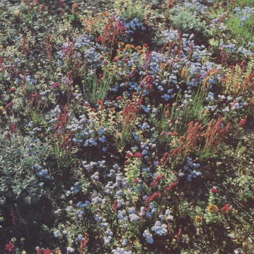 happiness of sadness | POST-PUNK/LO-FI/COLD WAVE/DREAMPOP/SYNTH/DARK WAVE