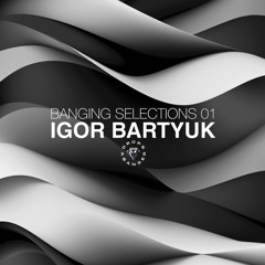 Banging Selections #01 by igor Bartyuk