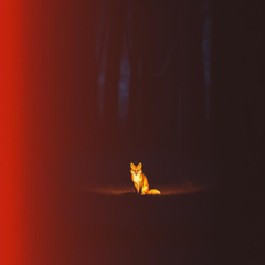 Kitsune