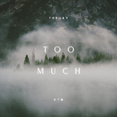 Too Much - Teejayotm