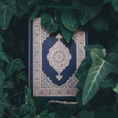 وَإِذَا مَا أُنزِلَتْ سُورَةٌ فَمِنْهُم مَّن يَقُولُ أَيُّكُمْ زَادَتْهُ هَٰذِهِ إِيمَانًا-