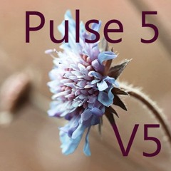 Pulse 5 V5