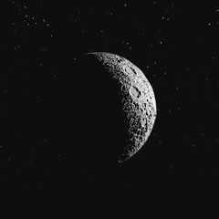 Live from Planet Moth