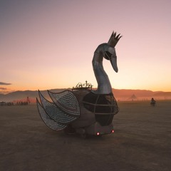 Swandering - a Daytime Thing at Burning Man 2022