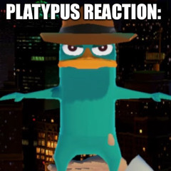 Phineas And Ferb - Mom Look!