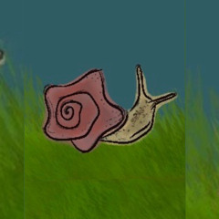 Petal Vision