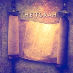 Walk The Torah (feat. Levi Princess) (Prod. NaJeeTheGoat)