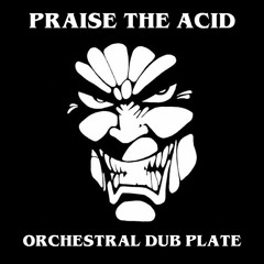 Praise The Acid  - Orchestral Dub Plate