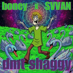 boney x SVVAN - dmt shaggy WIP