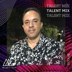 MELODIC DEEP TALENT MIX SERIES #221 | Briccio
