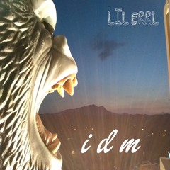 IDM
