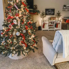 Winter Pirate\Refrence