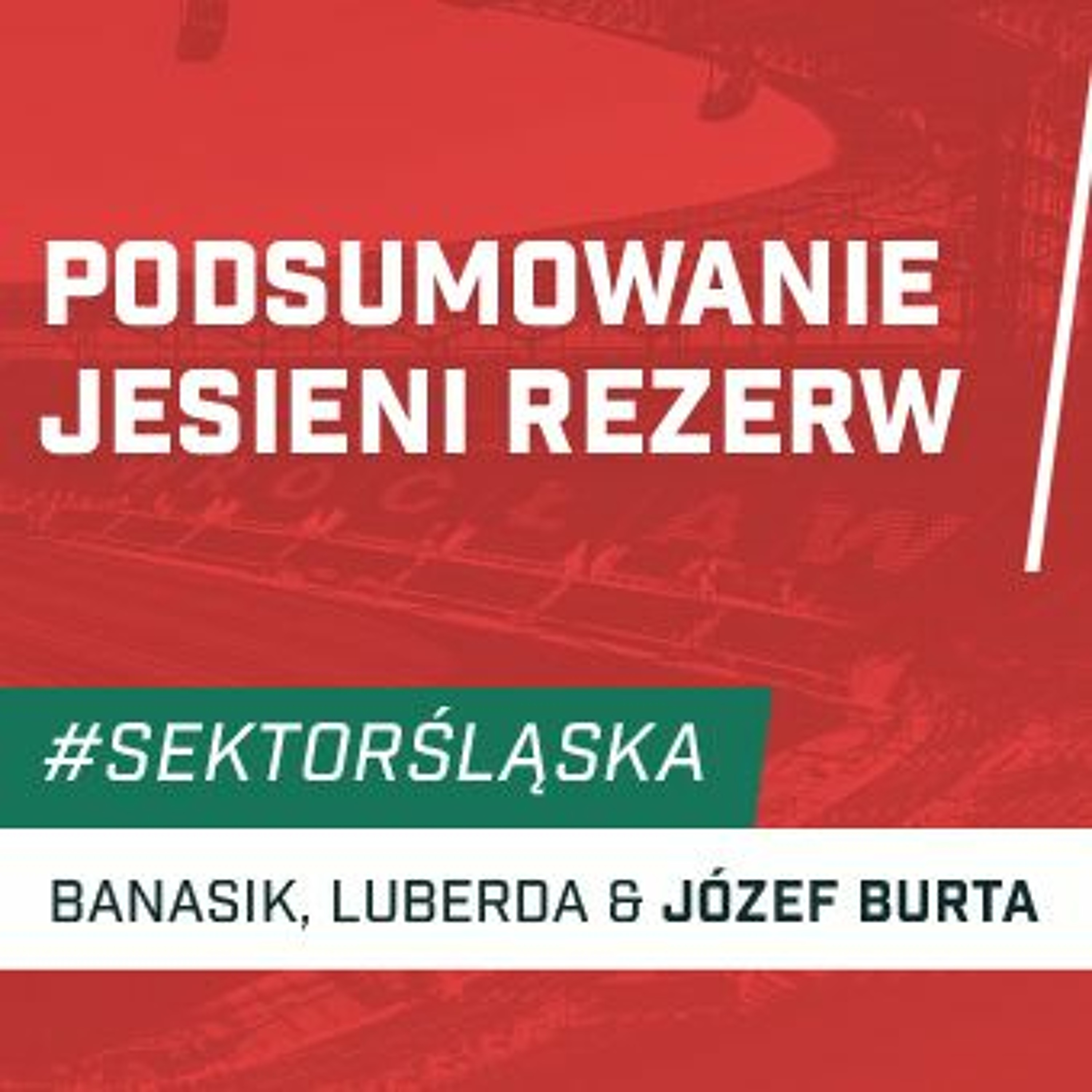 Śląsknet