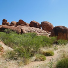 devils plaything (Danzig acoustic cover)