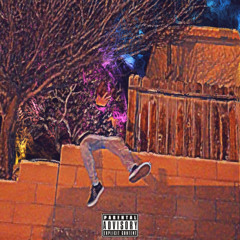 feel ok (prod.Kkquickbrakes x Harrymadeit) feat.dylanlotus