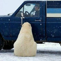 ненавидь себя