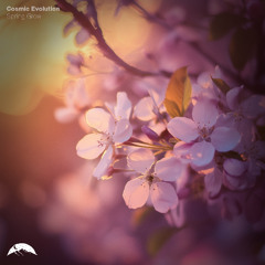 Cosmic Evolution - Spring Glow