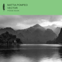 Mattia Pompeo - Vector (snippet)
