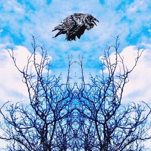 Matt Williams, Chris Berry - Raven Remix