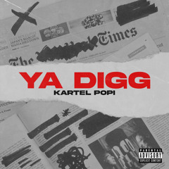 Ya Digg (remix)