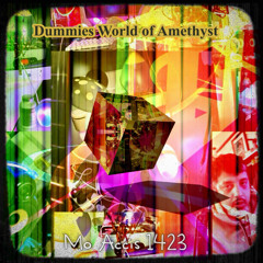 Mo Accis 1423 - Dummies World Of Amethyst