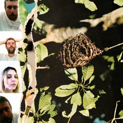 UNFOLDING THE RECEPTACLE w/ MORE EAZE - 14/06/2024
