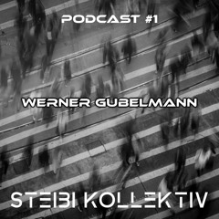 Podcast #1 - Werner Gubelmann