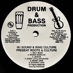 Jvancarloss - Roots & Culture (DnB 420 Mix)
