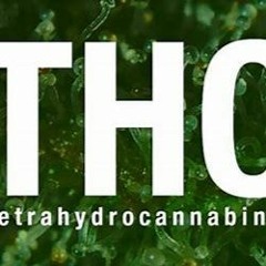 SpAcK_GheTTi   190er