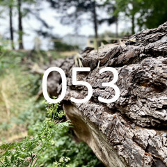 Synthesis : 053