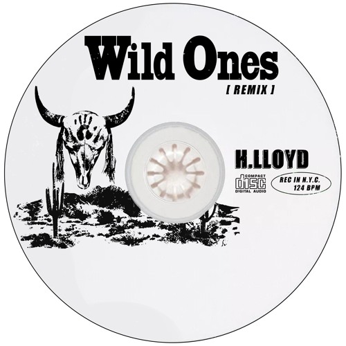 Flo Rida - Wild Ones ft. Sia (h.lloyd remix)