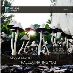 Nissim Gavriel - Hallucinating You