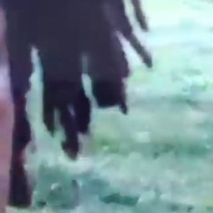 Still gon cool (prod levitating man)