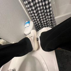 rexv2 - stussy