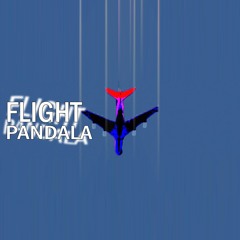 FLIGHT