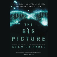 E-book download The Big Picture: On the Origins of Life, Meaning, and the