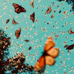 VISION (Prod. Kidkeva)