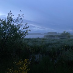 240518 · 05:00 am ·  Etang des Landes (Creuse, France) · The nightingale and few eurasian coots