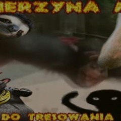 ZWIERZYNA MIX (reupload)